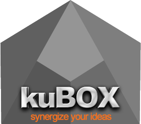 kuBOX - synergize your ideas