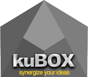 kuBOX - synergize your ideas