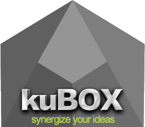 kuBOX - synergize your ideas