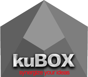 kuBOX - synergize your ideas