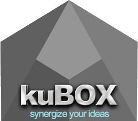 kuBOX - synergize your ideas