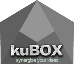 kuBOX - synergize your ideas
