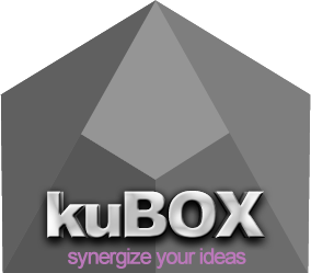 kuBOX - synergize your ideas